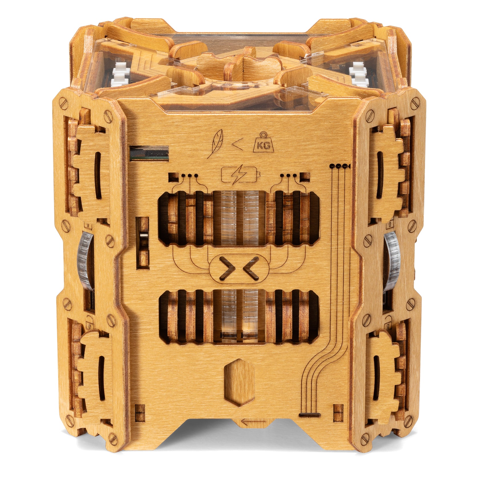 Puzzle Potato - Tesla Box